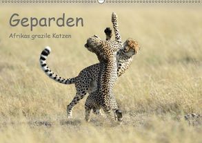 Geparden – Afrikas grazile Katzen (Wandkalender 2019 DIN A2 quer) von Jürs,  Thorsten