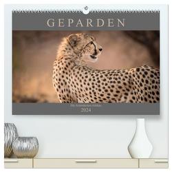 Geparden – Die Schönheiten Afrikas (hochwertiger Premium Wandkalender 2024 DIN A2 quer), Kunstdruck in Hochglanz von Pavlowsky,  Markus