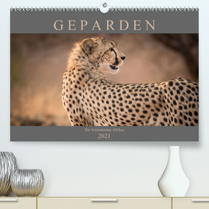 Geparden – Die Schönheiten Afrikas (Premium, hochwertiger DIN A2 Wandkalender 2021, Kunstdruck in Hochglanz) von Pavlowsky,  Markus