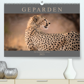 Geparden – Die Schönheiten Afrikas (Premium, hochwertiger DIN A2 Wandkalender 2023, Kunstdruck in Hochglanz) von Pavlowsky,  Markus