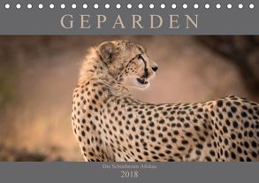 Geparden – Die Schönheiten Afrikas (Tischkalender 2018 DIN A5 quer) von Pavlowsky,  Markus
