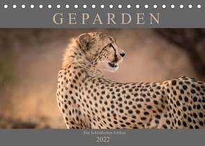 Geparden – Die Schönheiten Afrikas (Tischkalender 2022 DIN A5 quer) von Pavlowsky,  Markus