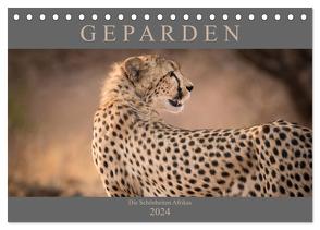 Geparden – Die Schönheiten Afrikas (Tischkalender 2024 DIN A5 quer), CALVENDO Monatskalender von Pavlowsky,  Markus