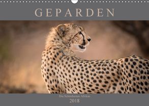 Geparden – Die Schönheiten Afrikas (Wandkalender 2018 DIN A3 quer) von Pavlowsky,  Markus