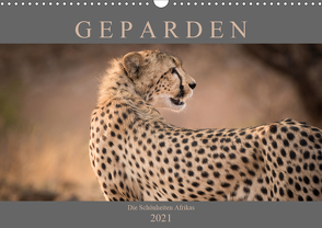 Geparden – Die Schönheiten Afrikas (Wandkalender 2021 DIN A3 quer) von Pavlowsky,  Markus