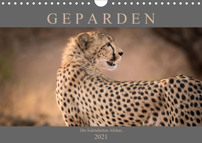 Geparden – Die Schönheiten Afrikas (Wandkalender 2021 DIN A4 quer) von Pavlowsky,  Markus