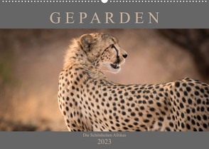 Geparden – Die Schönheiten Afrikas (Wandkalender 2023 DIN A2 quer) von Pavlowsky,  Markus