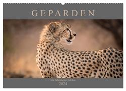 Geparden – Die Schönheiten Afrikas (Wandkalender 2024 DIN A2 quer), CALVENDO Monatskalender von Pavlowsky,  Markus