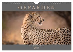 Geparden – Die Schönheiten Afrikas (Wandkalender 2024 DIN A4 quer), CALVENDO Monatskalender von Pavlowsky,  Markus