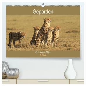 Geparden – Ein Leben in Afrika (hochwertiger Premium Wandkalender 2024 DIN A2 quer), Kunstdruck in Hochglanz von Herzog,  Michael