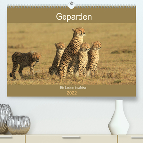 Geparden – Ein Leben in Afrika (Premium, hochwertiger DIN A2 Wandkalender 2022, Kunstdruck in Hochglanz) von Herzog,  Michael