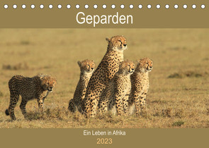 Geparden – Ein Leben in Afrika (Tischkalender 2023 DIN A5 quer) von Herzog,  Michael