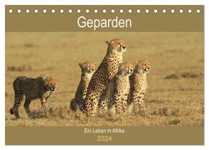 Geparden – Ein Leben in Afrika (Tischkalender 2024 DIN A5 quer), CALVENDO Monatskalender von Herzog,  Michael