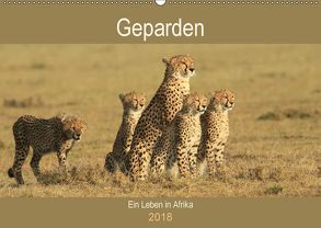 Geparden – Ein Leben in Afrika (Wandkalender 2018 DIN A2 quer) von Herzog,  Michael