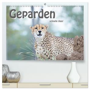Geparden – schnelle Jäger (hochwertiger Premium Wandkalender 2024 DIN A2 quer), Kunstdruck in Hochglanz von Styppa,  Robert