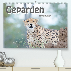 Geparden – schnelle Jäger (Premium, hochwertiger DIN A2 Wandkalender 2022, Kunstdruck in Hochglanz) von Styppa,  Robert