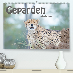 Geparden – schnelle Jäger (Premium, hochwertiger DIN A2 Wandkalender 2020, Kunstdruck in Hochglanz) von Styppa,  Robert