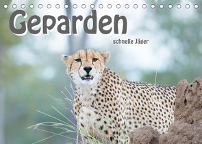 Geparden – schnelle Jäger (Tischkalender 2023 DIN A5 quer) von Styppa,  Robert