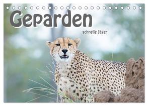Geparden – schnelle Jäger (Tischkalender 2024 DIN A5 quer), CALVENDO Monatskalender von Styppa,  Robert