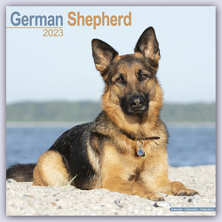 German Shepherd – Deutsche Schäferhunde 2023 – 16-Monatskalender