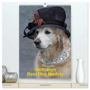 Germanys Best Dog Models – gestylte Labrador und Golden Retriever (hochwertiger Premium Wandkalender 2024 DIN A2 hoch), Kunstdruck in Hochglanz von Voigt-Papke,  Gabriele