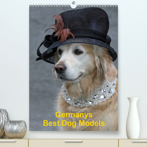 Germanys Best Dog Models – gestylte Labrador und Golden Retriever (Premium, hochwertiger DIN A2 Wandkalender 2021, Kunstdruck in Hochglanz) von Voigt-Papke,  Gabriele