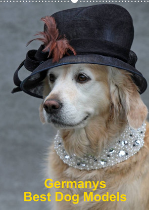 Germanys Best Dog Models – gestylte Labrador und Golden Retriever (Wandkalender 2023 DIN A2 hoch) von Voigt-Papke,  Gabriele