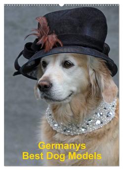 Germanys Best Dog Models – gestylte Labrador und Golden Retriever (Wandkalender 2024 DIN A2 hoch), CALVENDO Monatskalender von Voigt-Papke,  Gabriele