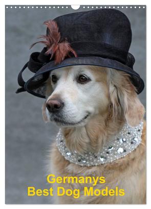 Germanys Best Dog Models – gestylte Labrador und Golden Retriever (Wandkalender 2024 DIN A3 hoch), CALVENDO Monatskalender von Voigt-Papke,  Gabriele