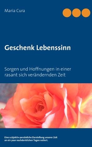 Geschenk Lebenssinn von Cura,  Maria