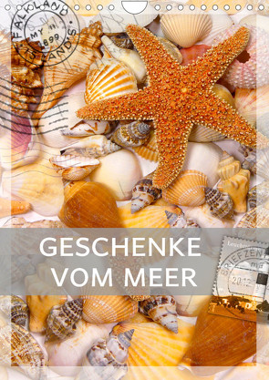 Geschenke vom Meer (Wandkalender 2023 DIN A4 hoch) von B-B Müller,  Christine