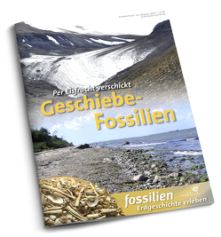 Geschiebe-Fossilien von Lehmann,  Jens, Redaktion Fossilien