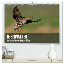 Geschnatter – Enten und Gänse in Deutschland (hochwertiger Premium Wandkalender 2024 DIN A2 quer), Kunstdruck in Hochglanz von Krebs,  Alexander