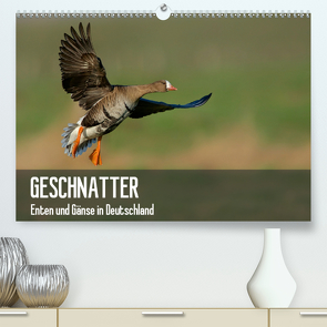 Geschnatter – Enten und Gänse in Deutschland (Premium, hochwertiger DIN A2 Wandkalender 2021, Kunstdruck in Hochglanz) von Krebs,  Alexander