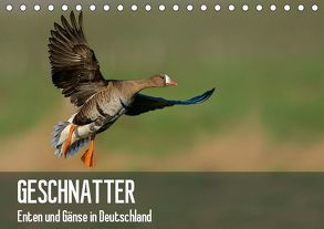 Geschnatter – Enten und Gänse in Deutschland (Tischkalender 2019 DIN A5 quer) von Krebs,  Alexander