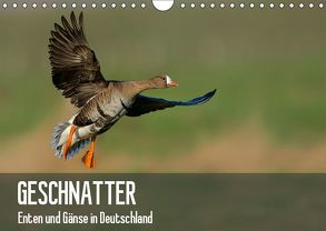 Geschnatter – Enten und Gänse in Deutschland (Wandkalender 2019 DIN A4 quer) von Krebs,  Alexander