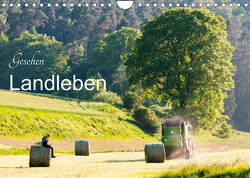 Gesehen – Landleben (Wandkalender 2023 DIN A4 quer) von Balzer,  Karl-Günter
