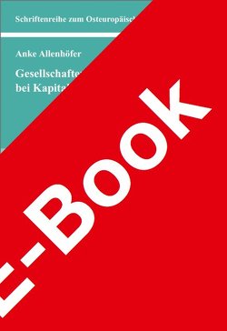 Gesellschaftervereinbarungen bei Kapitalgesellschaften von Allenhöfer,  Anke Elisabeth