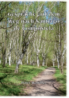 Gespräche auf dem Weg nach Santiago de Compostela von Wandler,  Peter