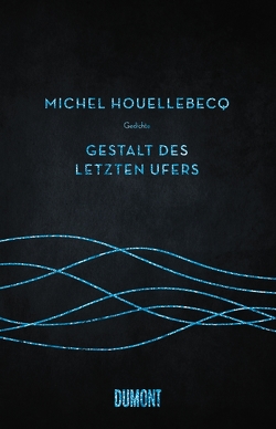 Gestalt des letzten Ufers von Houellebecq,  Michel, Kleiner,  Stephan, Schmidt-Henkel,  Hinrich