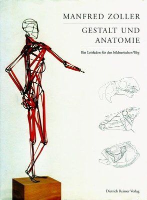 Gestalt und Anatomie von Zoller,  Manfred