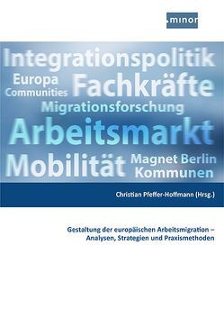 Gestaltung der europäischen Arbeitsmigration – Analysen, Strategien und Praxismethoden von Pfeffer-Hoffmann,  Christian