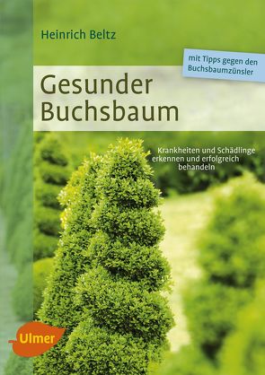 Gesunder Buchsbaum von Beltz,  Heinrich