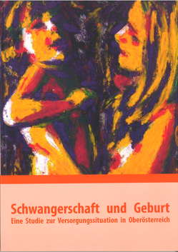 Gesundheitsbericht Schwangerschaft und Geburt. von Dieplinger,  Anna Maria, Kaiser,  Agnes