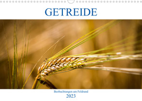 Getreide – Beobachtungen am Feldrand (Wandkalender 2023 DIN A3 quer) von von Kitzing,  Gero