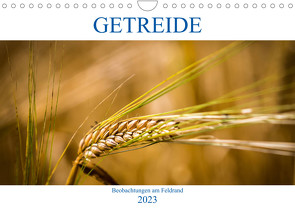 Getreide – Beobachtungen am Feldrand (Wandkalender 2023 DIN A4 quer) von von Kitzing,  Gero