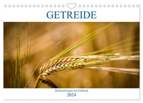 Getreide – Beobachtungen am Feldrand (Wandkalender 2024 DIN A4 quer), CALVENDO Monatskalender von von Kitzing,  Gero