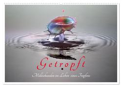 Getropft (Wandkalender 2024 DIN A2 quer), CALVENDO Monatskalender von Hennighaußen,  Andreas