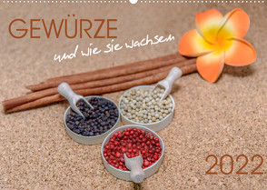 Gewürze und wie sie wachsen (Wandkalender 2022 DIN A2 quer) von Anoraganingrum,  Dwi