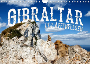 Gibraltar – der Affenfelsen (Wandkalender 2023 DIN A4 quer) von Buchspies,  Carina